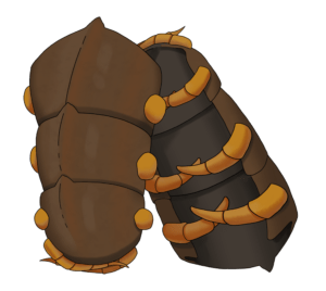 brown bracers, made from a giant centipede exoskeleton, attach to a limb with leg-like clips