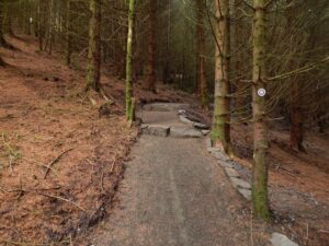 Path through Goukhill Plantation