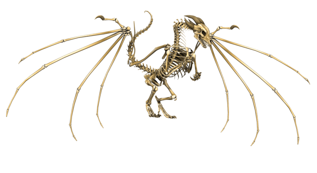 dragon skeleton