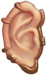 ear with a metal frame around it