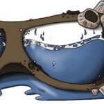 leather goggles filled with water, adorned with barnacles