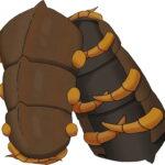 brown bracers made from centipede carapace and orange legs wrapping around