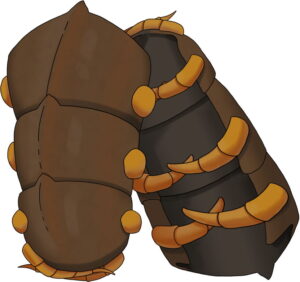 brown bracers made from centipede carapace and orange legs wrapping around