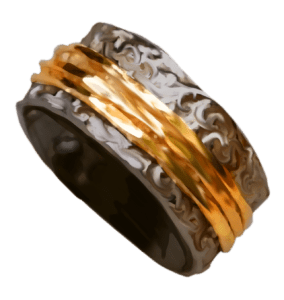 silver ring with a gold secondary ring around the outside