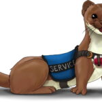 giant weasel with service animal vest