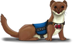 giant weasel with service animal vest