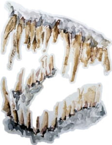 bronze dragon tooth dentures