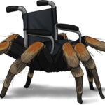 wheelchair with tarantula legs instead of wheels