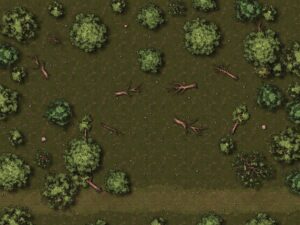 Map: Forest clearing by a path, hex grid