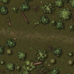 Map: Forest clearing by a path, Hex