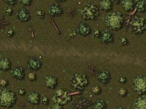 Map: Forest clearing by a path, Hex