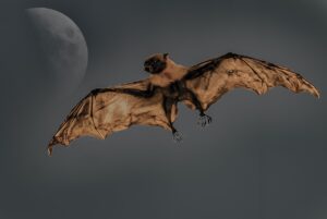 bat, giant