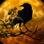 smoky raven silhouette against an orange moon