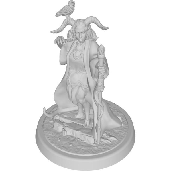 figure of tiefling warlock with staff and raven