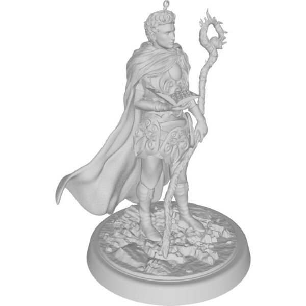 figure of Armored paladin holding a braille book and magic staff, sword on his back, scars on his eye