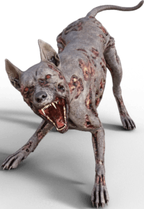 decaying zombie dog