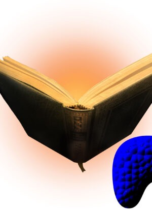 an open book with an orange glow behind it, indigo-scaled bean-shaped Patreon P in bottom right corner